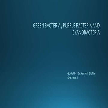Cyanobacteria and Salient Features of it | PPTX