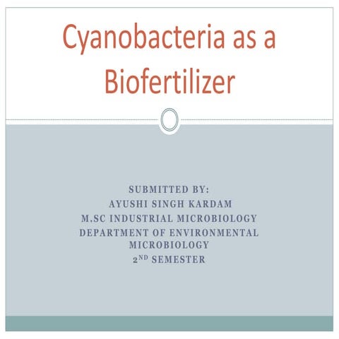 Cyanobacteria as a Biofertilizer (BY- Ayushi).pptx