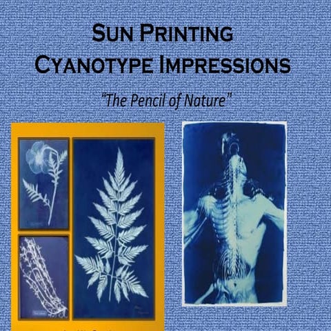 Cyanotype slideshow
