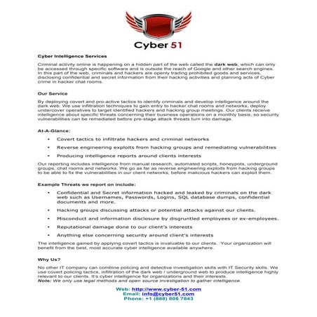 Cyber intelligence-services