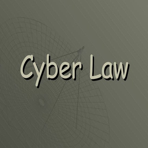 Cyber  Law