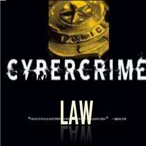 Cybercrime law legality report