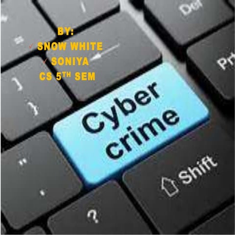 Cybercrimes