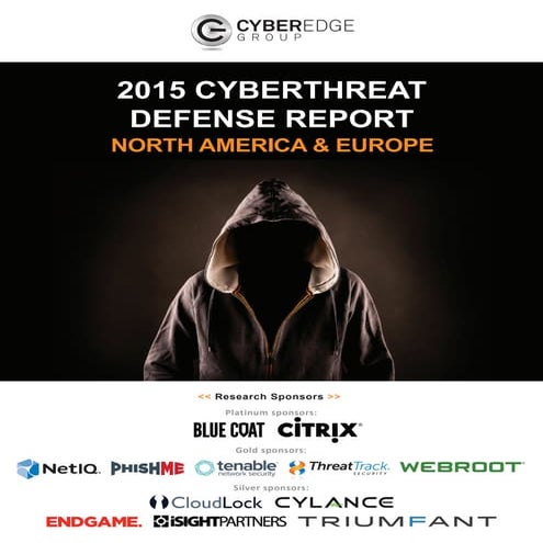 Cyberedge 2015 Defense Report 