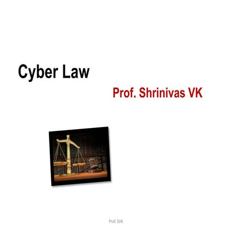 Cyber law/Business law