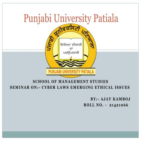 Presentation about the CYBER laws  .pptx