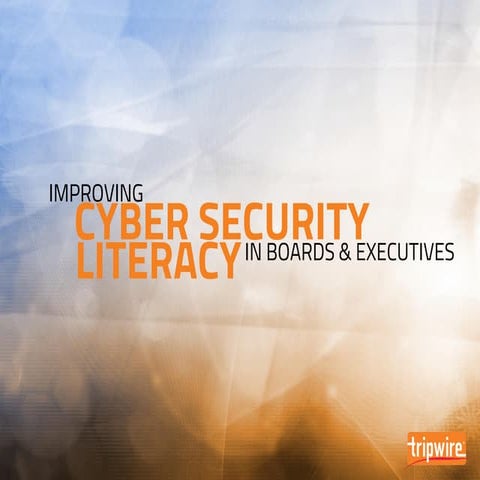 Improving Cyber Security Literacy in Boards & Executives