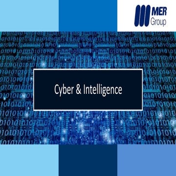 Виталий Трахтенберг (Израиль), MER Group. Кейс по кибер-расследованию для одной из крупнейших телекомунникационных компаний