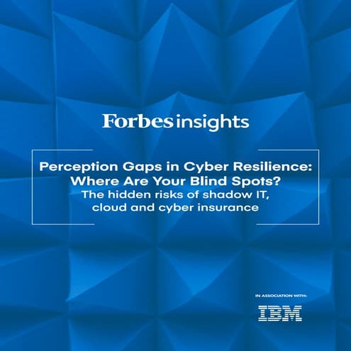 Perception Gaps in Cyber Resilience: What Are Your Blind Spots?