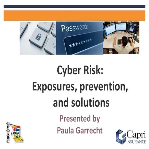 Cyber Risk: Exposures, prevention, and solutions