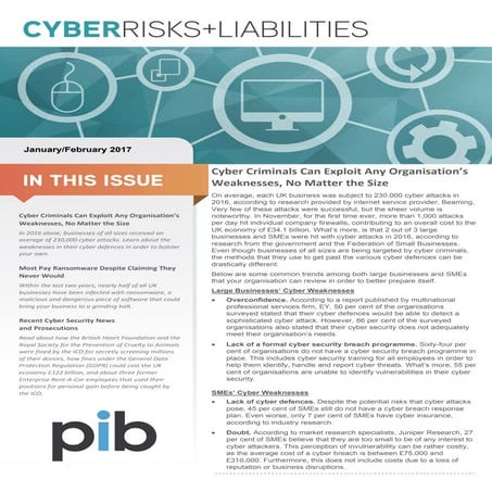 Cyber risks and liabilities newsletter jan feb 2017
