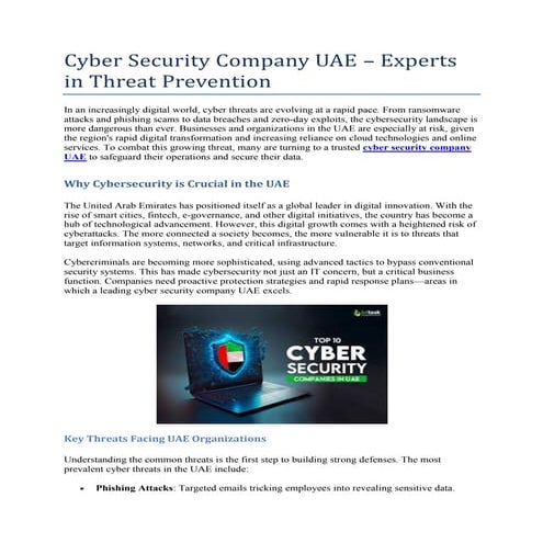 Cyber Security Company UAE Experts in Threat Prevention
