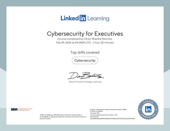 Cybersecurity for Executives