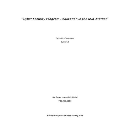 Cyber Security Program Realization in the Mid Market - Executive Summary