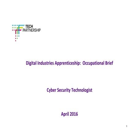 Cyber security technologist occupational brief
