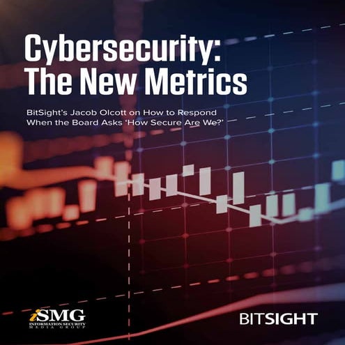Cybersecurity the new metrics