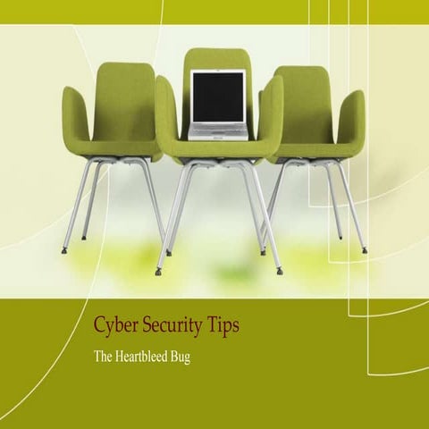 Cyber-security tips: the heartbleed bug