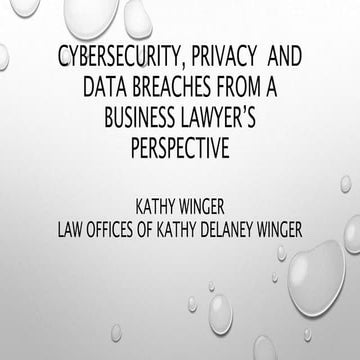 Cybersecurity, Privacy and Data Security from a Business Lawyer's Perspective