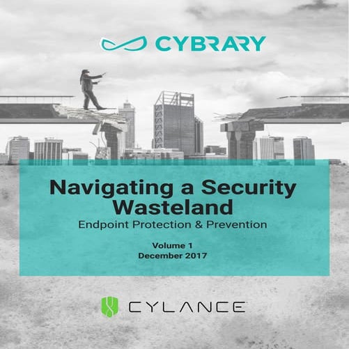 Cybrary's navigating a security wasteland 