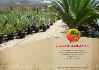 Secrets Your Parents Never Told You About Succulent Plants Names And Pictures