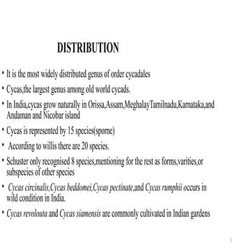cycas plant and plant anatomy for msc botany