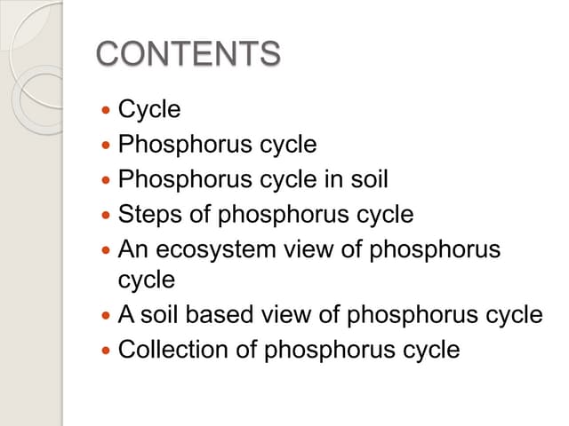 Phosphorus Cycle