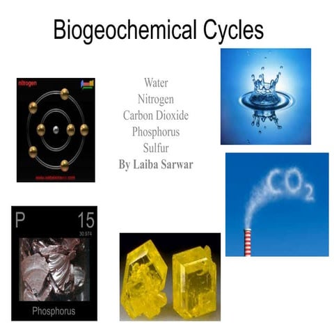 Cycles
