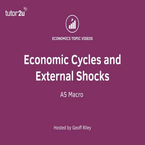 External Shocks and Economic Cycles