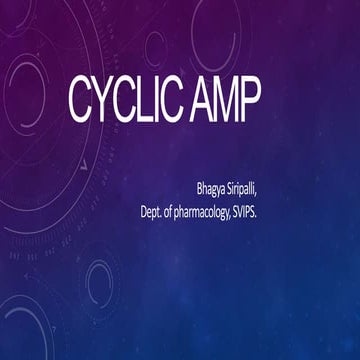 Cyclic amp