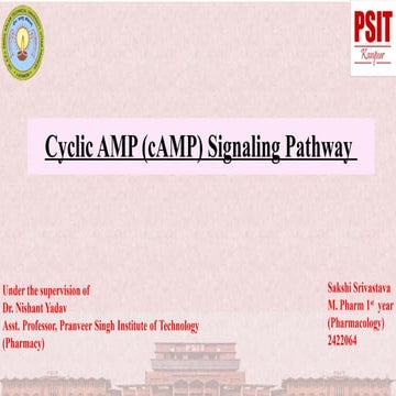Cyclic AMP (cAMP) Signaling Pathway.pptx