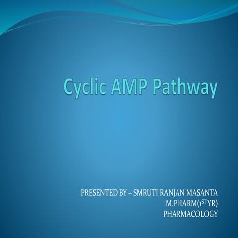 Cyclic amp pathway