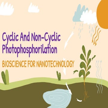 Cyclic and non cyclic photophosphorilation