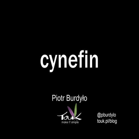 Cynefin at Agile Warsaw