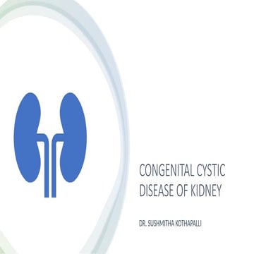CYSTIC RENAL MASS of the kidney ppt.pptx