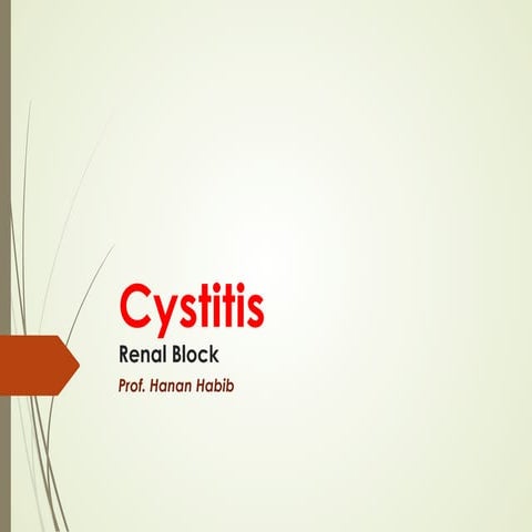 Cystitis-Medicine.pdf