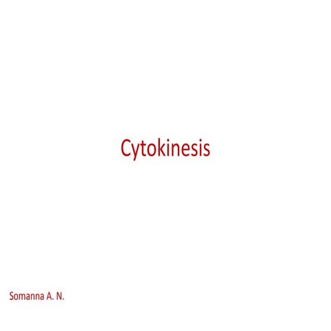 Cytokinesis