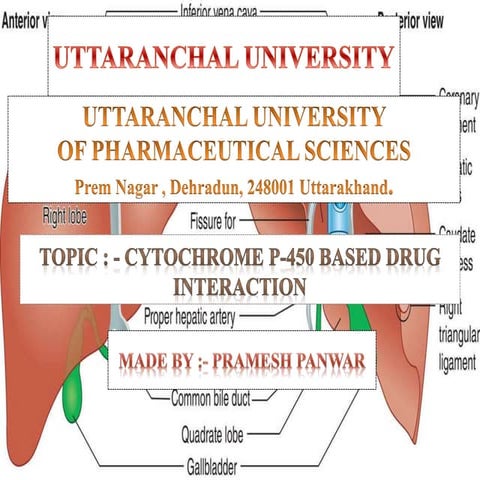 CYTOCHROME P-450 BASED DRUG INTERACTION.pptx