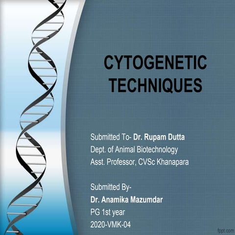 Cytogenetic techniques