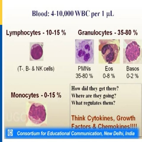 Cytokines and their role in immune regulation.pptx