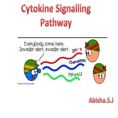 Cytokine signaling pathway