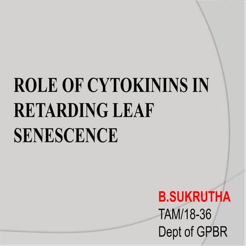  ROLE OF CYTOKININS IN RETARDING LEAF SENESCENCE
