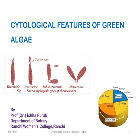 Cytological features of green algae