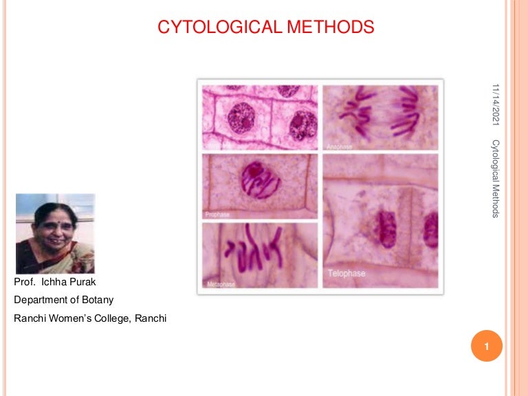 Cytological methods 3 cytologicalmethods 211114033322 thumbnail 4