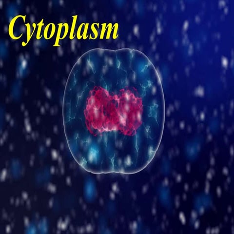 Cytoplasm & cell organelles By Manoj Dhital (M.Sc Medical Microbiology))