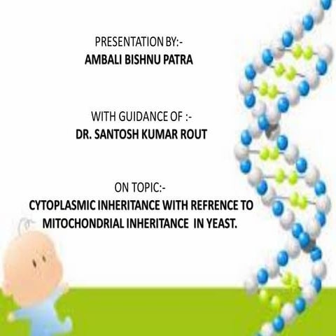 CYTOPLASMIC INHERITANCE WITH REFERENCETO MITOCHONDRIAL INHERITANCE IN YEAST