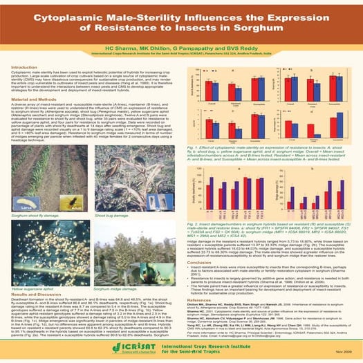 Cytoplasmic male-sterility influences the expression of resistance to insects...