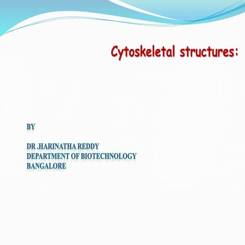 Cytoskeletal structures