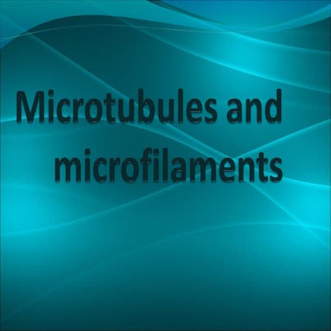 microtubules and microfilaments