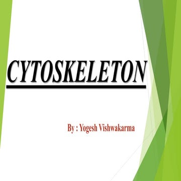 Cytoskeleton presentation (introduction structure & function)