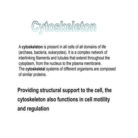 Cytoskeleton 
